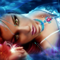 Hidden Beauty
