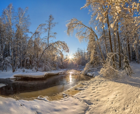 Riverside Winter - trees, sunset, water, snow, forest, reflection, sun