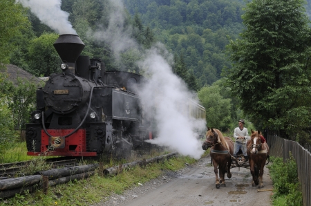 Mocanita - Maramures - turism, munte, tren, maramu