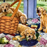 Puppies in a Basket - Dogs