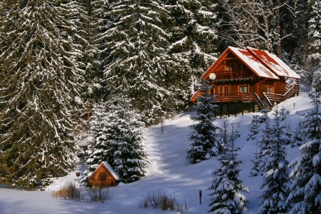 Mountain chalet in winter - slope, chalet, hills, trees, mountain, snow, beautiful, winter