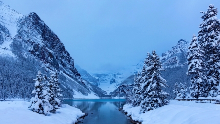 Banff NP in winter - national park, winter, beautiful, snow, reflection, mountain, Banff, mist, Canada, cold, frost, lake