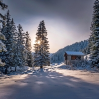 A frosty morning in the mountain