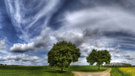 Amazing sky - trees, nature, sky, fields