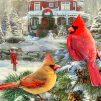 Holiday Cardinals Retreat