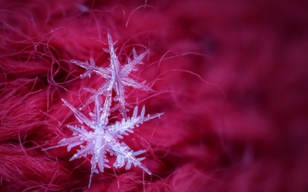 Snowflakes - white, winter, snowflakes, iarna, pink