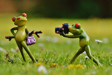 :D - figurine, couple, frog, green, summer, funny, photograph