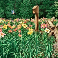 Daylily Days - Bird