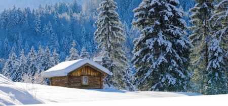 Winter in Austrian Alps - cabin, mountains, trees, snow