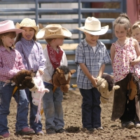 Cowboys/Cowgirls Children Stick Horses