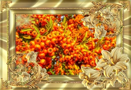 WILD BERRIES - orange, image, berries, pretty