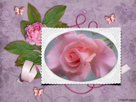 PRETTY PINK ROSE - image, pretty, rose, pink