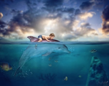 A boy's adventure - water, summer, blue, dolphin, sea, creative, copil, child, boy, fantasy, cloud, tara lesher, fish, sky