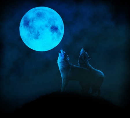 Blue moon - moon, howl, couple, night, black, fantasy, wolf, full, blue, luna