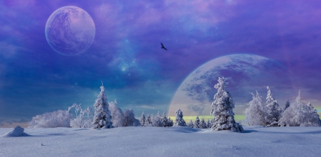 Winter Fantasy - sky, planets, stars, trees, clouds, snow, winter, bird