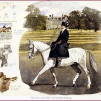 Riding Art Of Sidesaddle