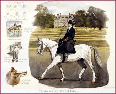 Riding Art Of Sidesaddle - Sidesaddle, Ladies, Hat, Art, White, Horses