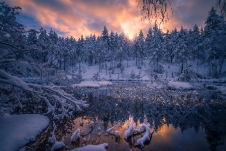 Winter River - nature, trees, snow, river, winter