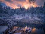 Winter River