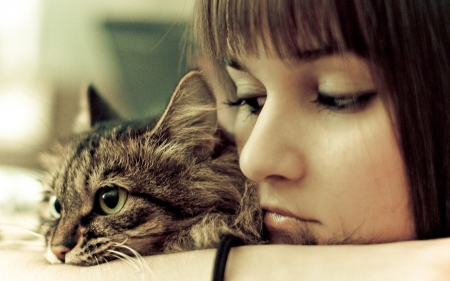 purrrfect pair - animal, feline, girl, brunette, asian, cat