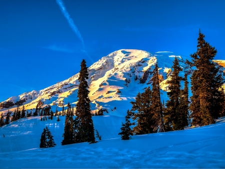 Winter Landscape - trees, nature, spuce, landscape, snow, slope, mountain, sky