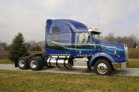 western star - western, star, rig, truck, grass