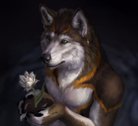 Wolf - white, wolf, art, lup, luminos, fantasy, flower