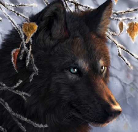 Wolf - animal, winter, black, lup, art, wolf, fantasy, leaf, luminos, autumn