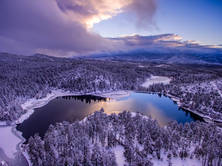 Winter Forest - nature, lake, sky, forest, snow, winter