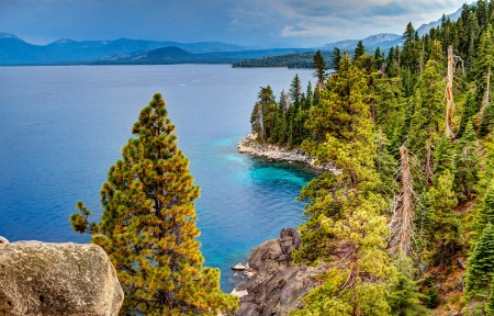 Coast of California - nature, california, lake, trees, forest, coast