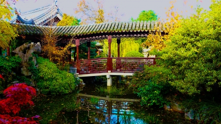 Bushes in the Garden - nature, trees, pond, bridge, garden, bushes