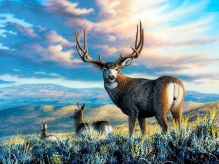 High Plains Legend - clouds, hills, summer, attractions in dreams, fields, paintings, deer, love four seasons, sky, animals