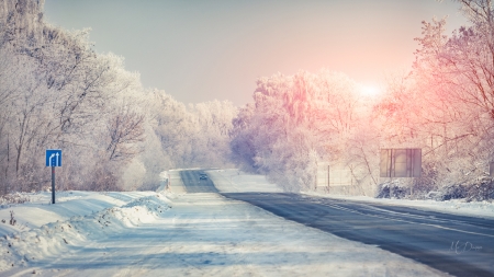 Winter Sunrise - trees, winter, road, snow, sunrise, Firefox Persona theme, car, drive, sky