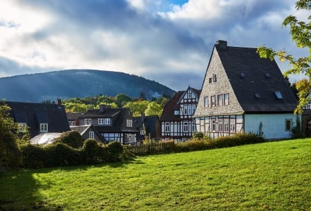 Houses in Germany - sky, houses, shrubs, grass, germany