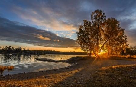 Sunset on the River - nature, trees, clouds, river, sunset