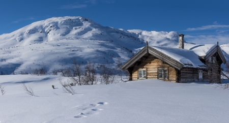 House in the Winter - house, winter, nature, snow, sky