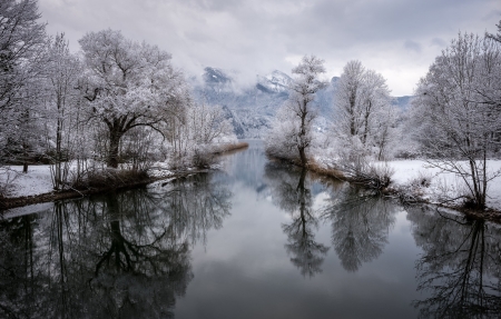 Winter forest - winter, forest, trees, river