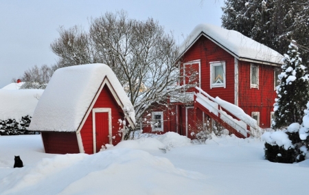 Wintertime - season, cabin, tree, snow