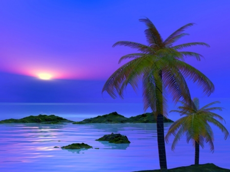 beach palm - trees, oceans, nature, blue, beaches, photography, sunsets, palm