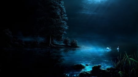 Night Light - gothic, dark, swans, night