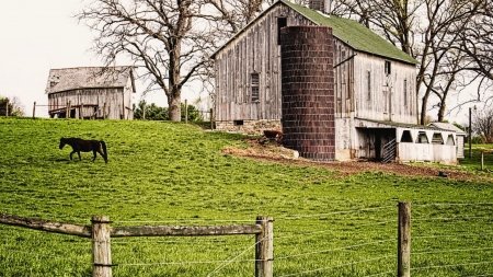 the Barn - field, fence, nature, farm