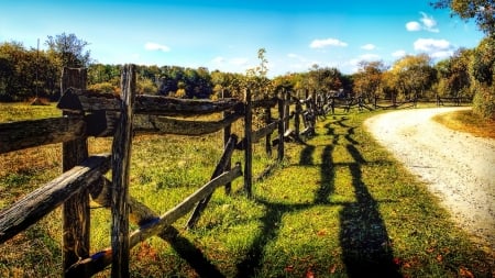 wood in nature - field, fence, nature, wood