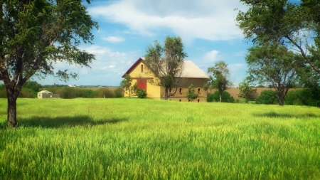 top of the hill - field, country, nature, farm