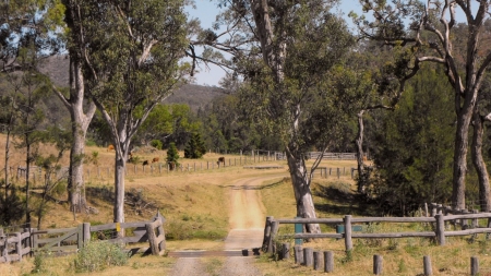 Road to Nowhere - country, nature, fields, paths