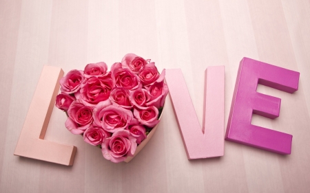 Happy Valentine's Day! - word, love, pink, card, valentine, rose, flower