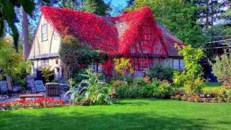 Colorful Autumn - lawn, trees, leaves, house, flowers, garden