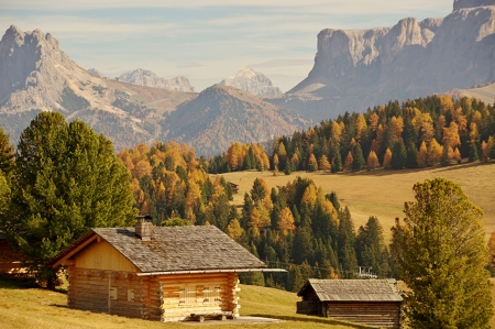 Forest in the Mountains,Italy - nature, bolzano, autumn, houses, italy, forest, mountains