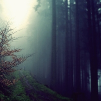 Nature Mist