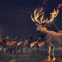 Fantasy deer