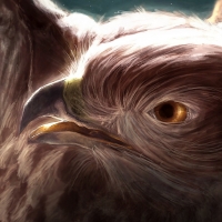 Eagle